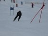 Vereinerennen 2013