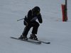 Vereinerennen 2013