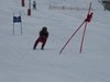 Vereinerennen 2013