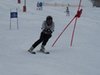 Vereinerennen 2013