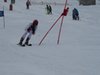 Vereinerennen 2013