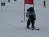 Vereinerennen 2013