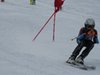 Vereinerennen 2013
