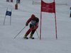 Vereinerennen 2013