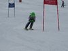 Vereinerennen 2013