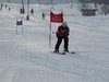 Vereinerennen 2013