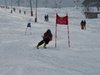 Vereinerennen 2013