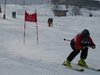 Vereinerennen 2013