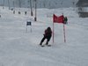 Vereinerennen 2013