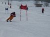 Vereinerennen 2013