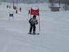 Vereinerennen 2013