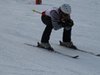 Vereinerennen 2013